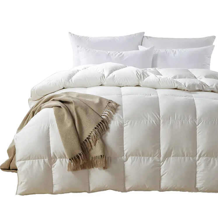 How to properly clean the liner of a hotel duvet?